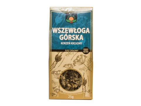 WSZEWŁOGA GÓRSKA KORZEŃ KROJONY NATURA WITA WSZEWŁOGA GÓRSKA KORZEŃ KROJONY NATURA WITA
