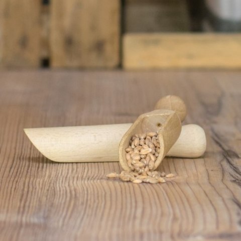 Słód Orkiszowy Weyermann 500g WAYERMANN Słód Orkiszowy Weyermann 500g WAYERMANN