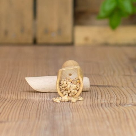 Słód Pale Ale Soufflet 500g SOUFFLET Słód Pale Ale Soufflet 500g SOUFFLET