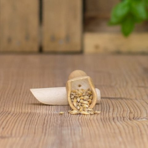 Słód Pilzneński Barke Weyermann 500g WAYERMANN Słód Pilzneński Barke Weyermann 500g WAYERMANN