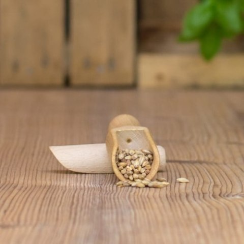 Słód Pilzneński Weyermann 500g WAYERMANN Słód Pilzneński Weyermann 500g WAYERMANN