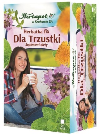 Herbata dla trzustki fix 20*2g HERBAPOL KRAKÓW